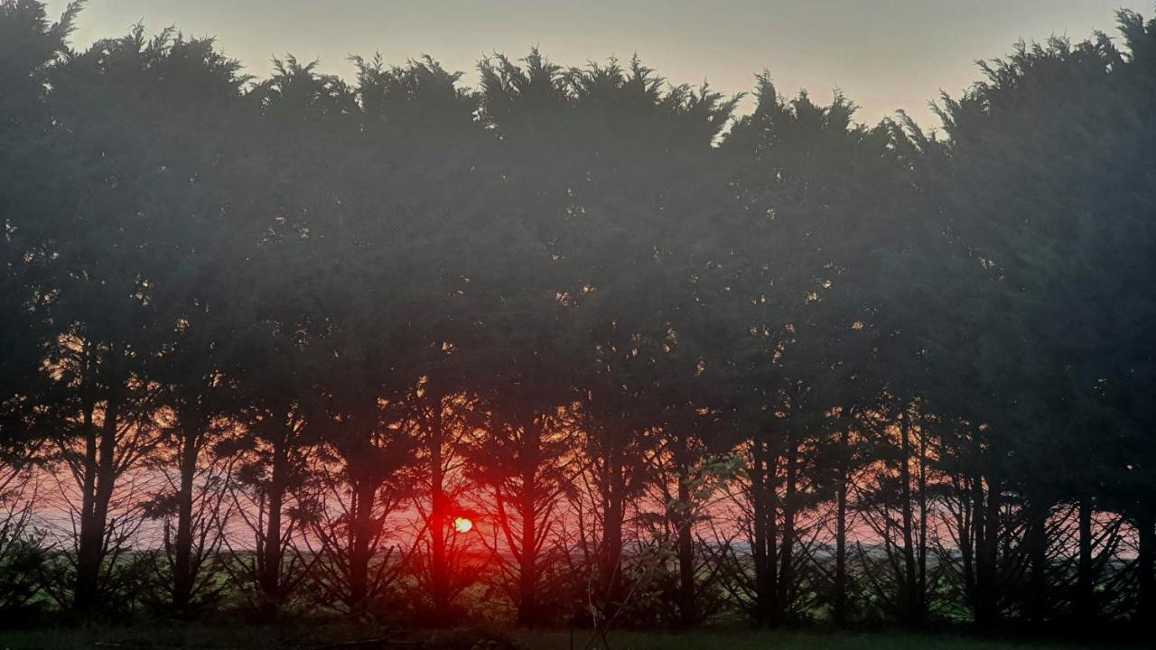 Bois De Crane Villa Landes-le-Gaulois Buitenkant foto